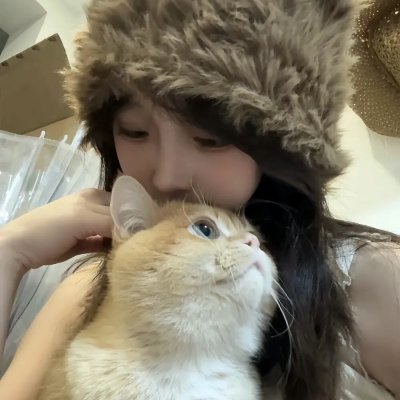 随风追寻